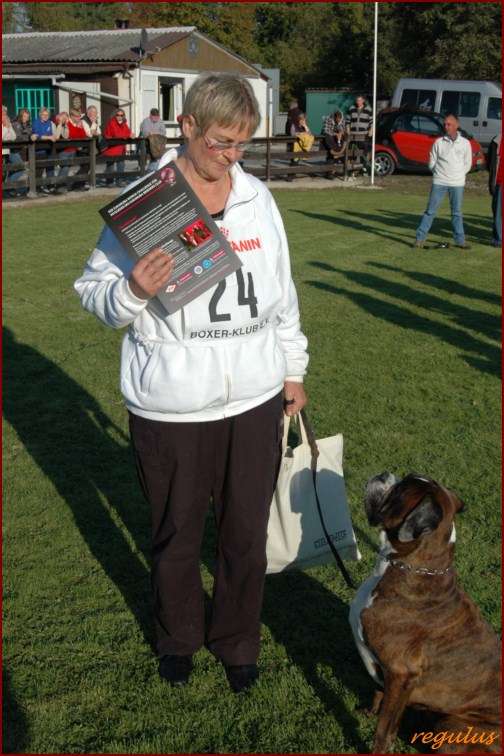 DM FH 2011